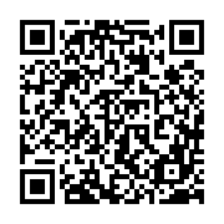 QR code for plate 33X 556