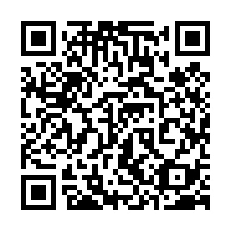 QR code for plate 33Y 439