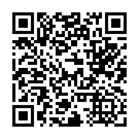 QR code for 33Z 493