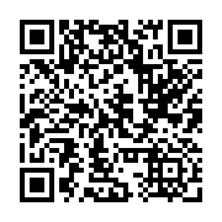 QR code for plate 33Z 333
