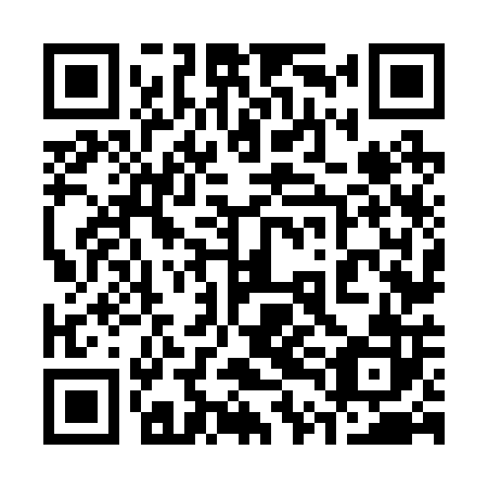 QR code for plate 34N 202