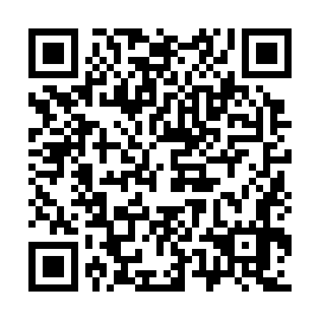 QR code for plate 35N 377