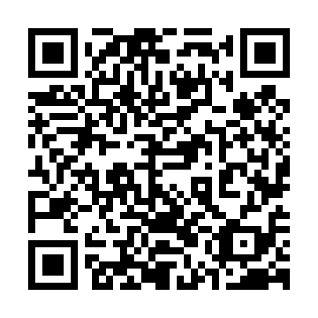 QR code for plate 35N 419