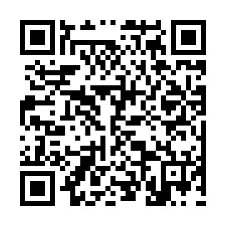 QR code for plate 36C 876