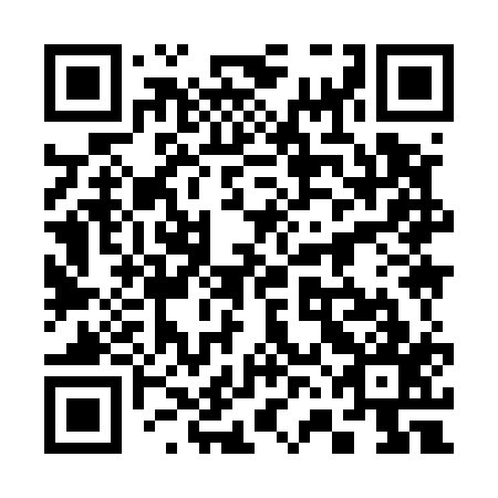 QR code for plate 36I 517