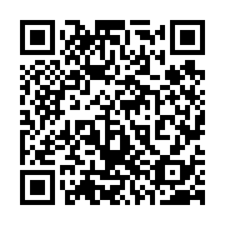 QR code for plate 36N 638