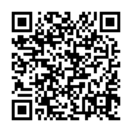 QR code for plate 36N 817