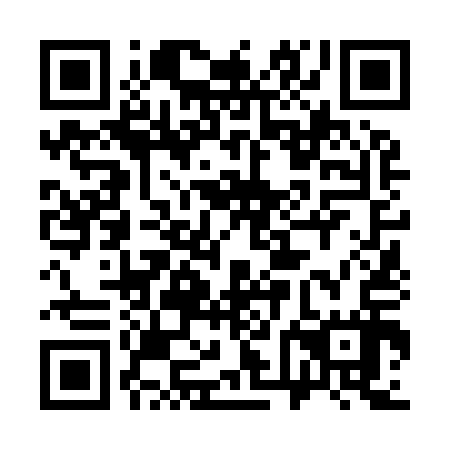 QR code for plate 36N 917