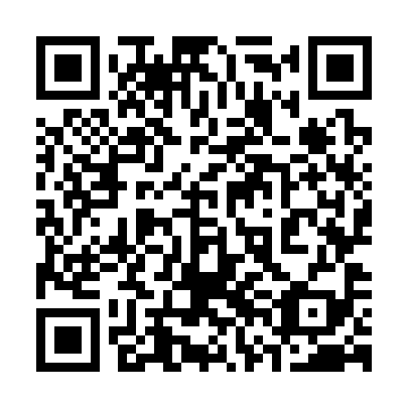QR code for plate 36O 399