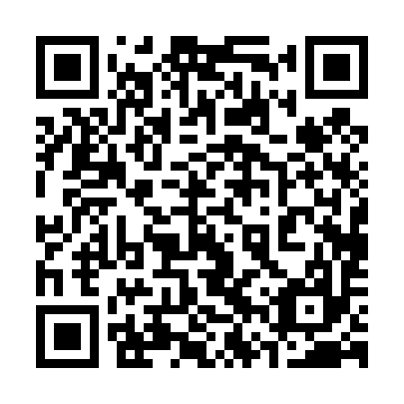 QR code for 36P497
