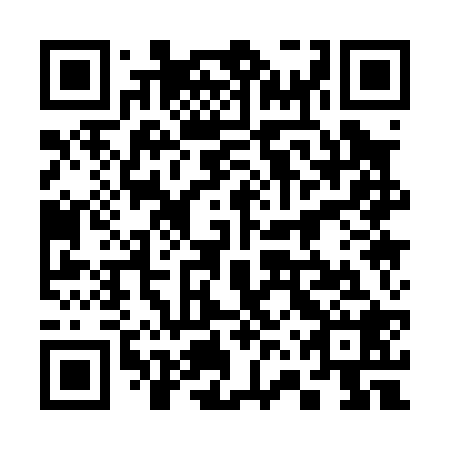 QR code for plate 36Q 028