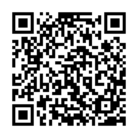 QR code for plate 36T 163