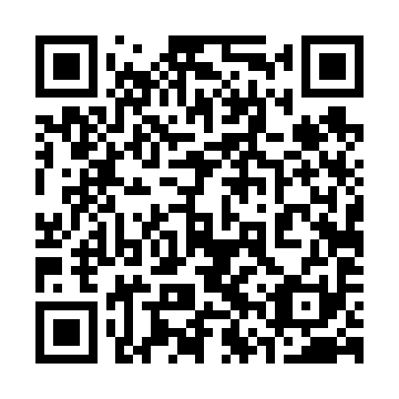 QR code for plate 36T 691