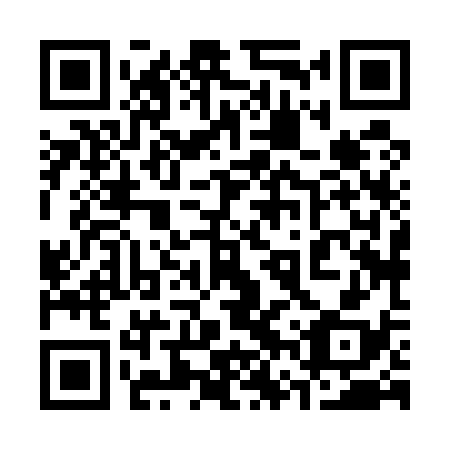 QR code for 36X538