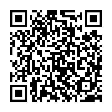 QR code for plate 36X 690