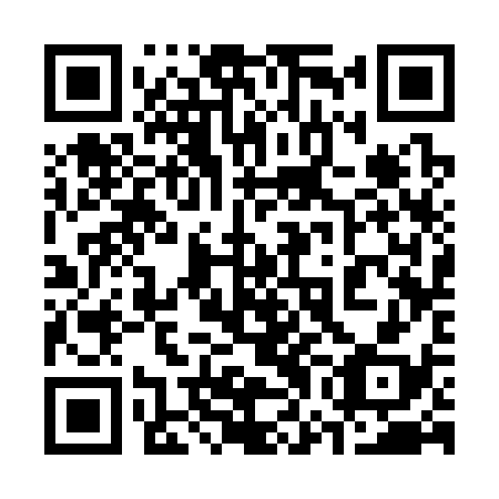 QR code for plate 37C 338