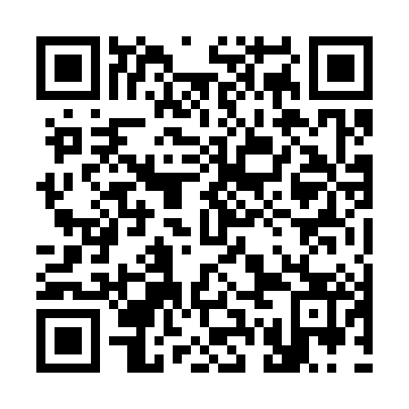 QR code for 37N 383