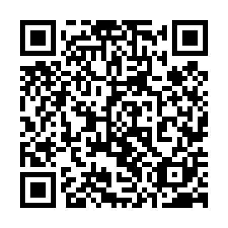 QR code for plate 37N 401