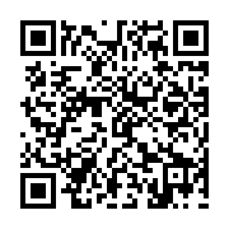 QR code for plate 37O 869