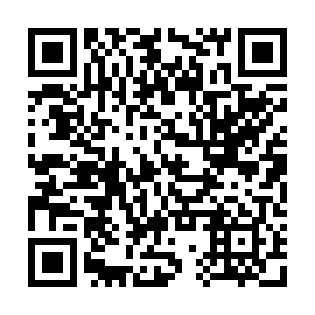 QR code for plate 37P 209