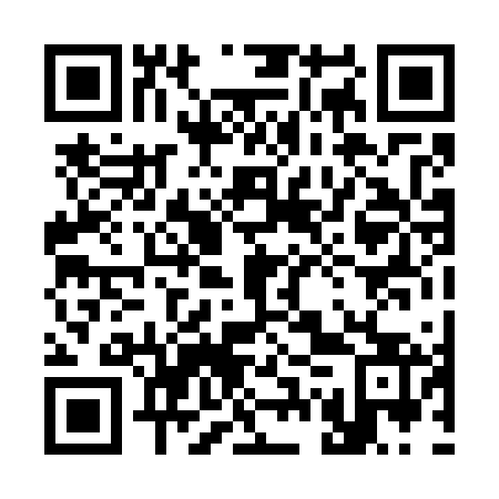 QR code for plate 37P 763