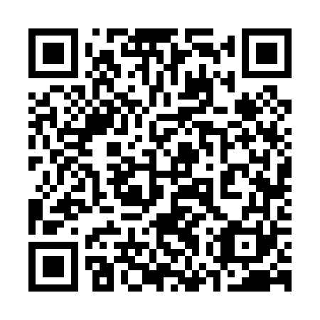 QR code for plate 37V 061