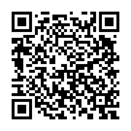 QR code for 38A411