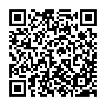 QR code for plate 38B 387