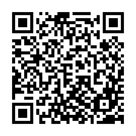 QR code for plate 38C 046