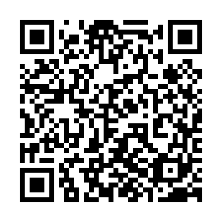 QR code for plate 38C 061