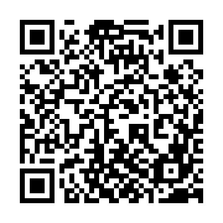 QR code for plate 38C 166