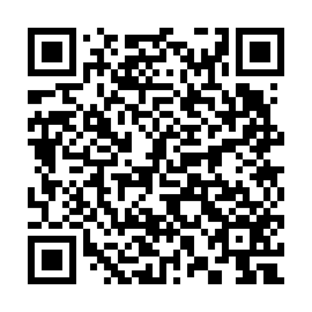 QR code for plate 38C 656