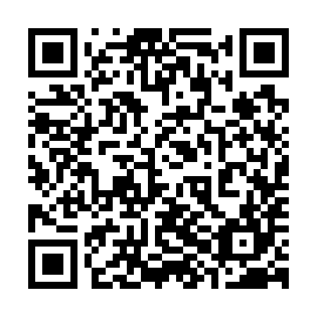 QR code for plate 38C 784