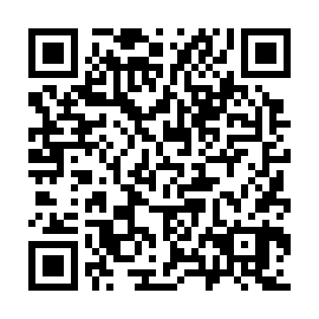 QR code for plate 38D 360