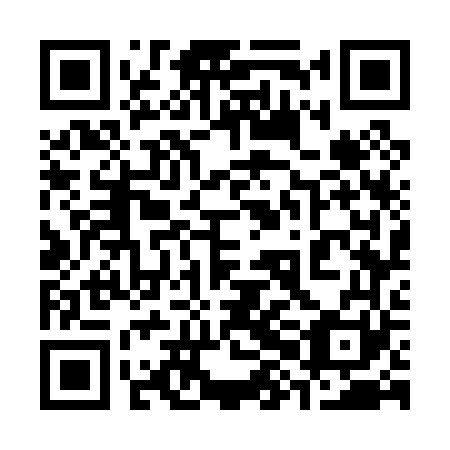 QR code for 38G 061