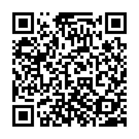 QR code for 38G309