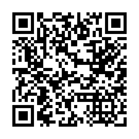 QR code for plate 38G 387