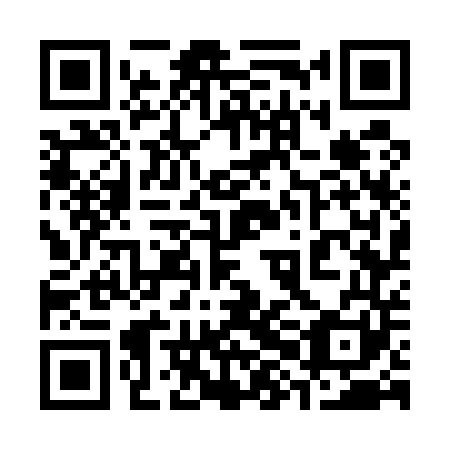 QR code for 38G541