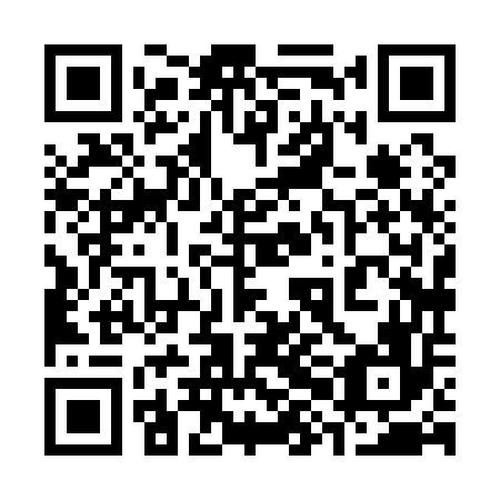 QR code for plate 38H 156