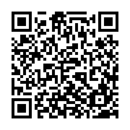 QR code for plate 38H 226