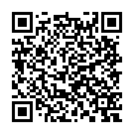 QR code for plate 38H 576