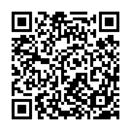 QR code for plate 38H 677