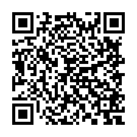 QR code for plate 38H 848