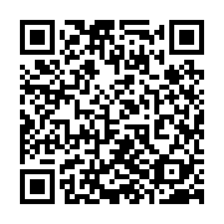 QR code for plate 38I 229