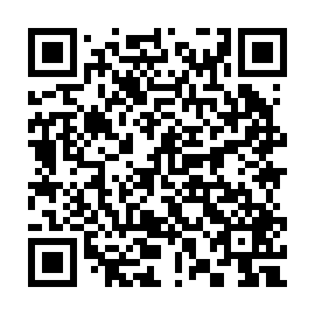 QR code for plate 38I 249