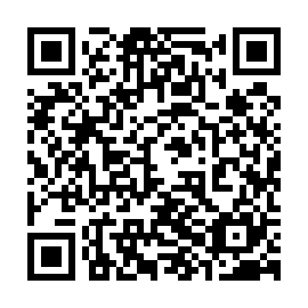 QR code for plate 38I 525