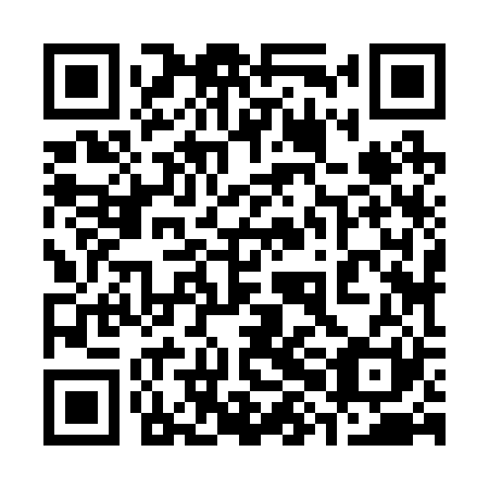 QR code for plate 38J 221