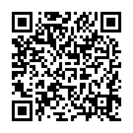 QR code for plate 38J 951