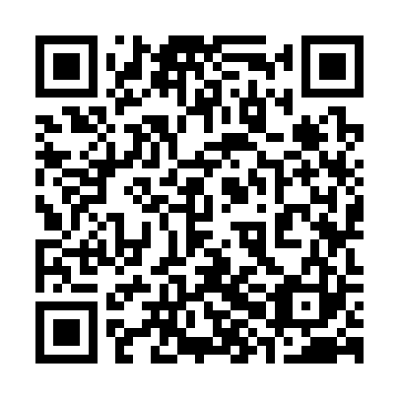 QR code for plate 38K 323