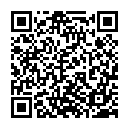 QR code for plate 38L 077